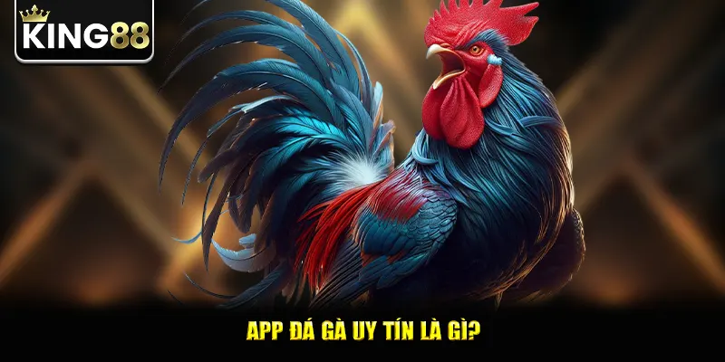 App đá gà uy tín là gì?