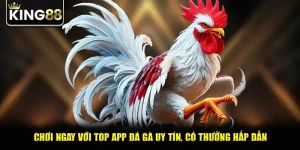 Chơi Ngay Với Top App Đá Gà Uy Tín, Có Thưởng Hấp Dẫn