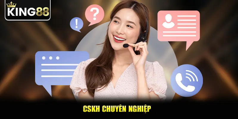 CSKH chuyên nghiệp