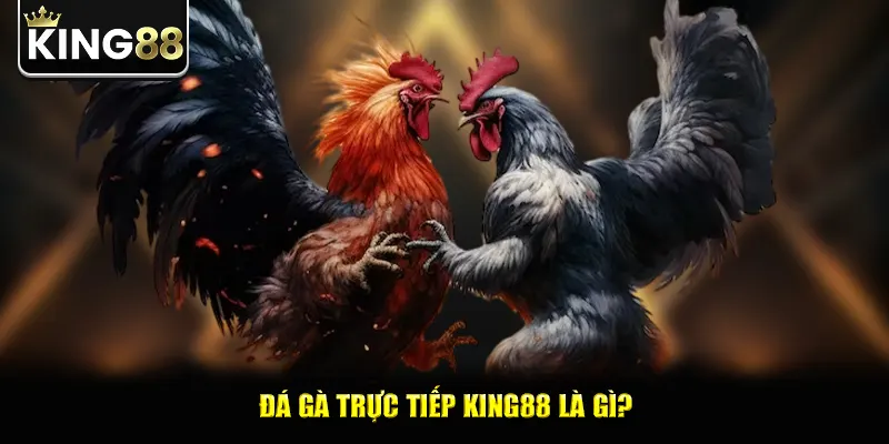 Đá gà trực tiếp king88 là gì?