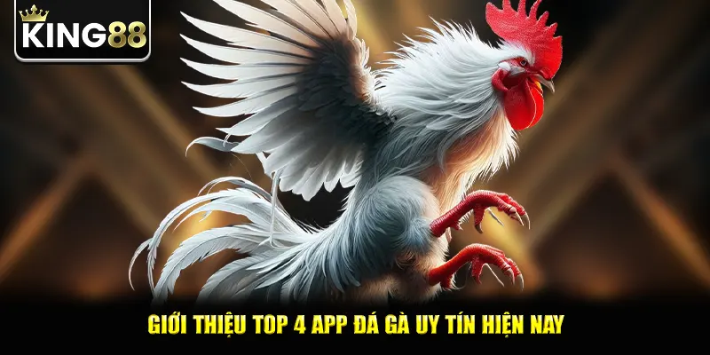 Giới thiệu top 4 app đá gà uy tín hiện nay