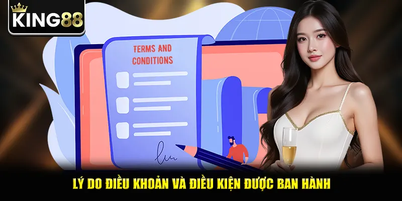 Lý do điều khoản và điều kiện được ban hành