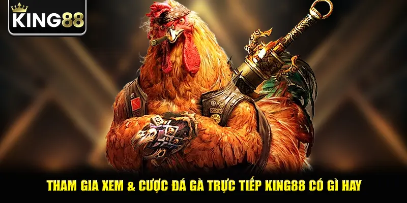 Tham gia xem & cược đá gà trực tiếp king88 có gì hay