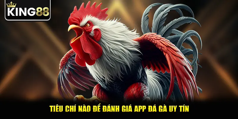 Tiêu chí nào để đánh giá app đá gà uy tín