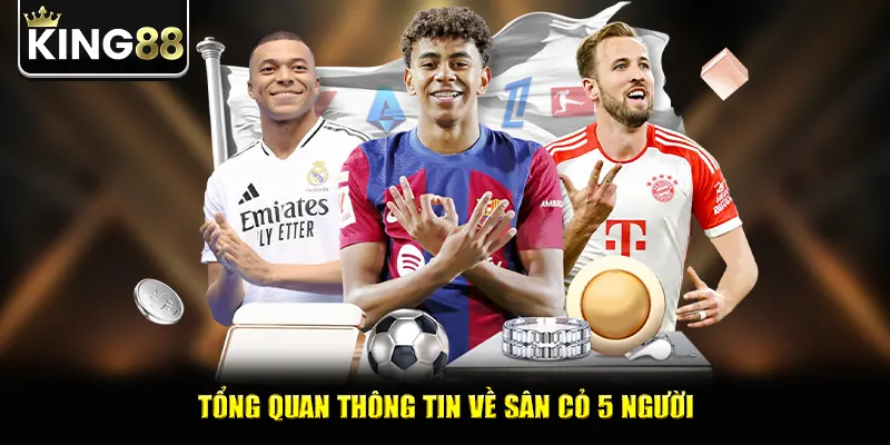 Tổng quan thông tin về sân cỏ 5 người